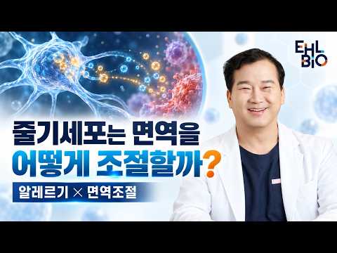 Why do allergies recur? Immunity and stem cells